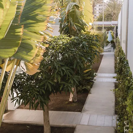 Aevum Resort-3